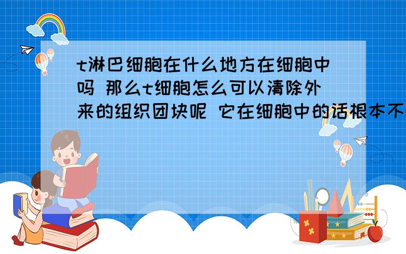 t淋巴细胞在什么地方在细胞中吗 那么t细胞怎么可以清除外来的组织团块呢 它在细胞中的话根本不能移动啊