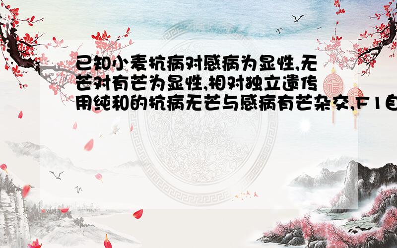 已知小麦抗病对感病为显性,无芒对有芒为显性,相对独立遗传用纯和的抗病无芒与感病有芒杂交,F1自交,播种所有F2,假设F2都能成活,在F2植株开花前,拔掉所有的有芒植株,并对剩余植株套袋,假