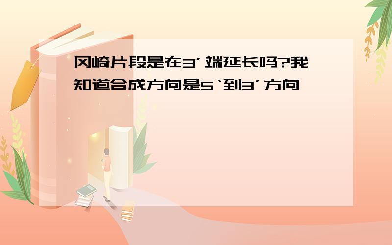 冈崎片段是在3’端延长吗?我知道合成方向是5‘到3’方向