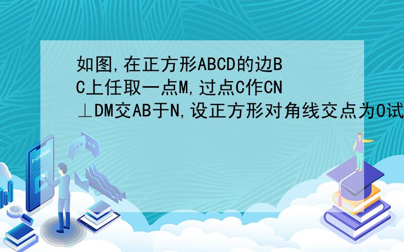 如图,在正方形ABCD的边BC上任取一点M,过点C作CN⊥DM交AB于N,设正方形对角线交点为O试确定OM与ON之间的关系【过程完整 别跳步骤