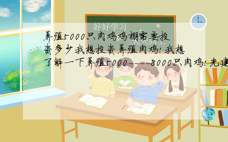 养殖5000只肉鸡鸡棚需要投资多少我想投资养殖肉鸡!我想了解一下养殖5000----8000只肉鸡!光建大棚和买设备需要投资多少?蒴料大棚和砖瓦结构的大棚各需要投资多少?