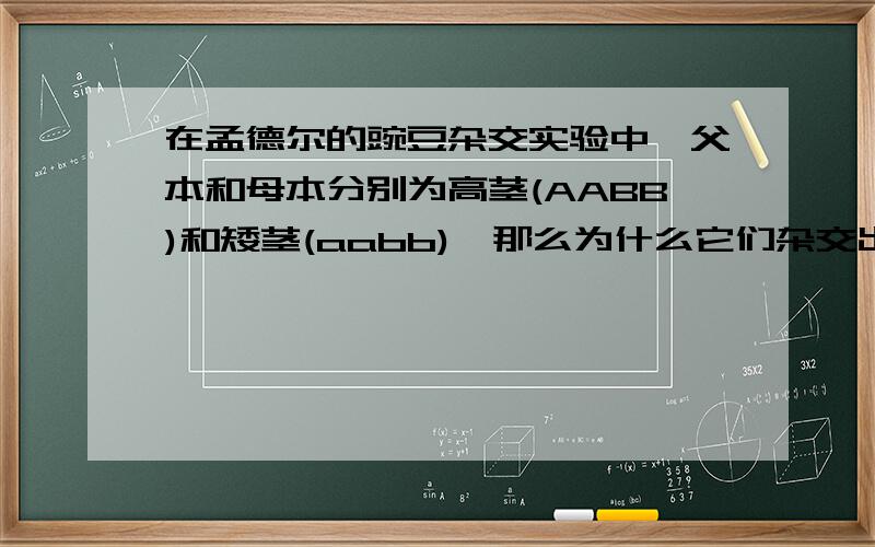 在孟德尔的豌豆杂交实验中,父本和母本分别为高茎(AABB)和矮茎(aabb),那么为什么它们杂交出来的一定是高茎(AaBb)?