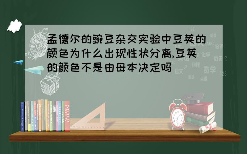 孟德尔的豌豆杂交实验中豆荚的颜色为什么出现性状分离,豆荚的颜色不是由母本决定吗