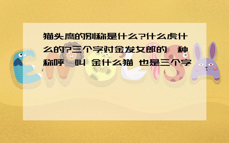 猫头鹰的别称是什么?什么虎什么的?三个字对金发女郎的一种称呼,叫 金什么猫 也是三个字