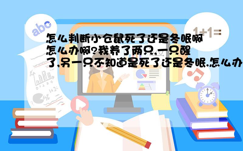 怎么判断小仓鼠死了还是冬眠啊怎么办啊?我养了两只,一只醒了,另一只不知道是死了还是冬眠.怎么办啊?还有救吗?可能这两天太冷了,我家在镇江,这几天气温都在零下.没有分笼,好像没心跳了