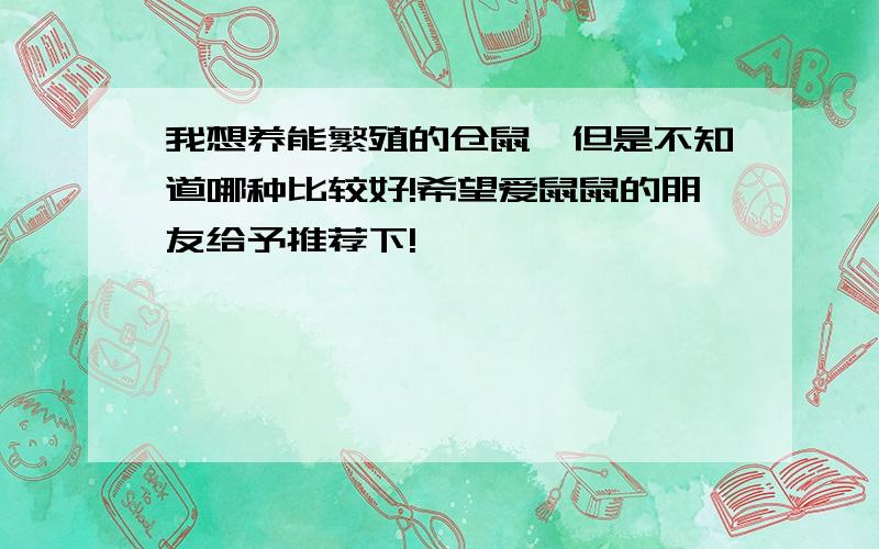 我想养能繁殖的仓鼠,但是不知道哪种比较好!希望爱鼠鼠的朋友给予推荐下!