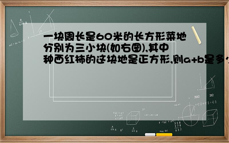 一块周长是60米的长方形菜地分别为三小块(如右图),其中种西红柿的这块地是正方形,则a+b是多少米?这是给的图←-----a米-----→茄 西 黄子 红 瓜柿←—--b米---→