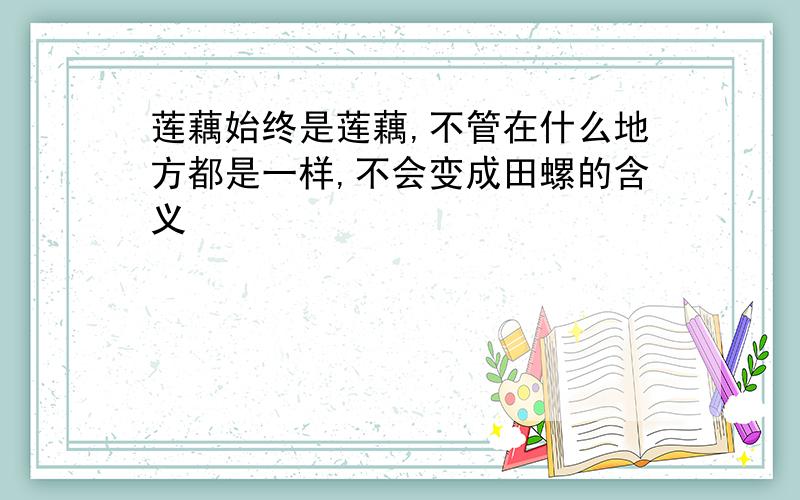 莲藕始终是莲藕,不管在什么地方都是一样,不会变成田螺的含义