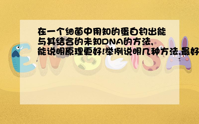 在一个细菌中用知的蛋白钓出能与其结合的未知DNA的方法,能说明原理更好!举例说明几种方法,最好能说出各自的优缺点.