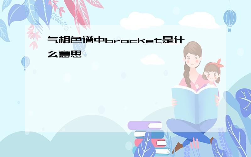 气相色谱中bracket是什么意思