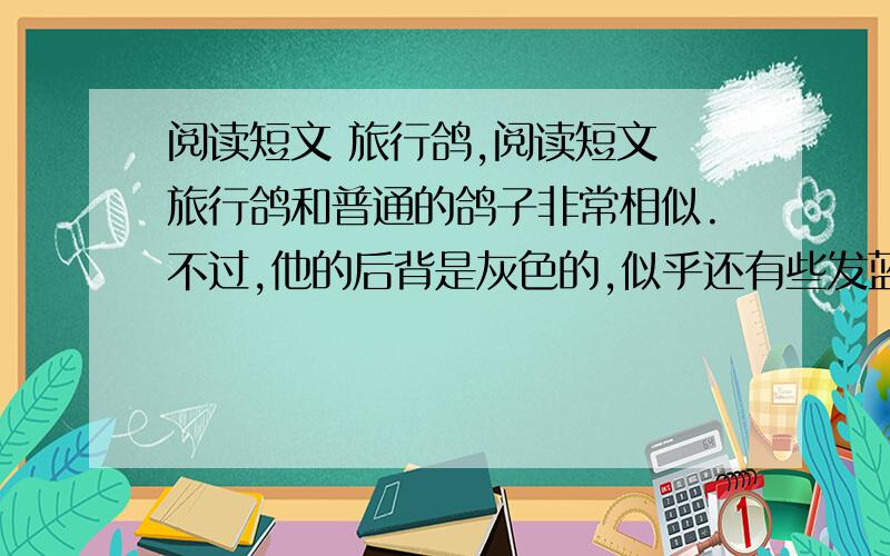 阅读短文 旅行鸽,阅读短文 旅行鸽和普通的鸽子非常相似.不过,他的后背是灰色的,似乎还有些发蓝,而胸前的颜色又是鲜红的,所以看上去是那么的绚丽多彩.旅行鸽不仅好看,而且数量繁多,曾