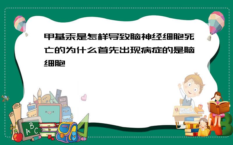 甲基汞是怎样导致脑神经细胞死亡的为什么首先出现病症的是脑细胞