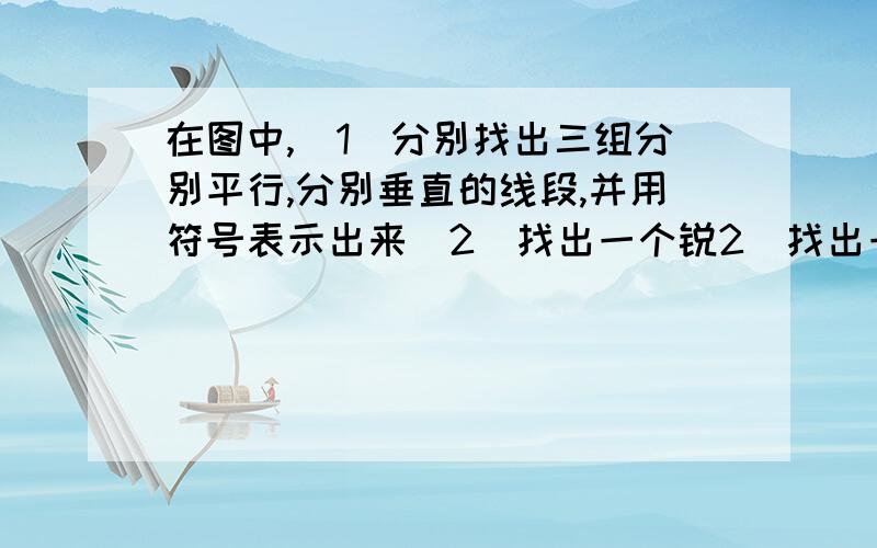 在图中,(1)分别找出三组分别平行,分别垂直的线段,并用符号表示出来(2)找出一个锐2）找出一个锐角、一个直角、一个钝角，将它们表示出来