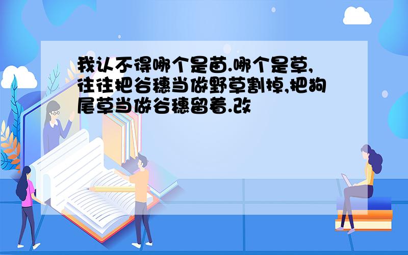 我认不得哪个是苗.哪个是草,往往把谷穗当做野草割掉,把狗尾草当做谷穗留着.改