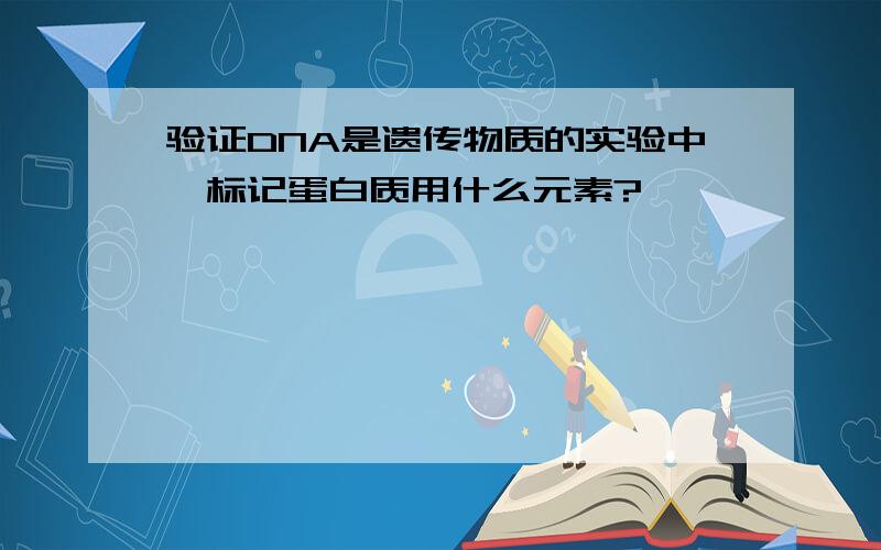 验证DNA是遗传物质的实验中,标记蛋白质用什么元素?