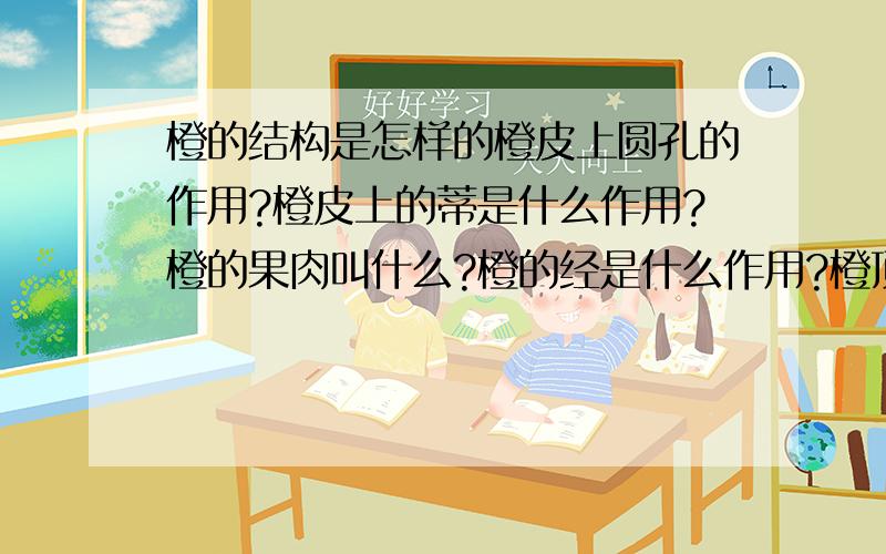 橙的结构是怎样的橙皮上圆孔的作用?橙皮上的蒂是什么作用?橙的果肉叫什么?橙的经是什么作用?橙顶端突出的点是叫蒂吗