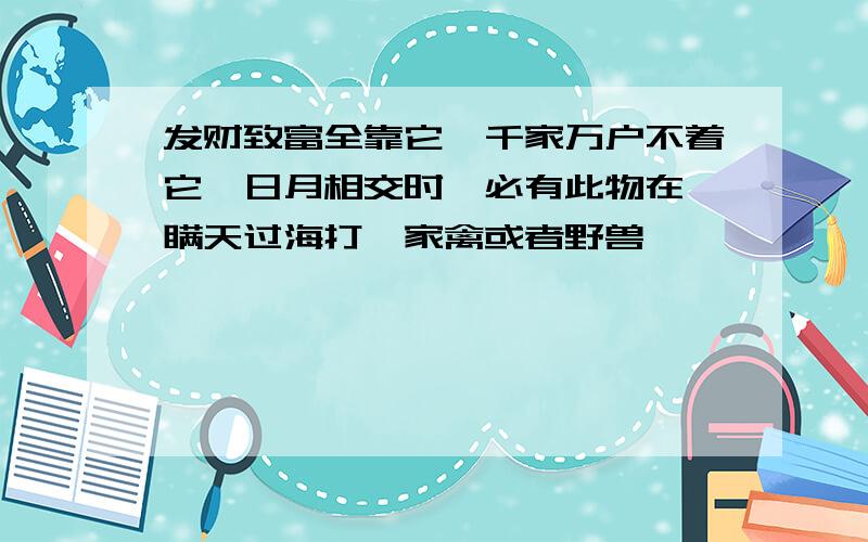 发财致富全靠它,千家万户不着它,日月相交时,必有此物在,瞒天过海打一家禽或者野兽