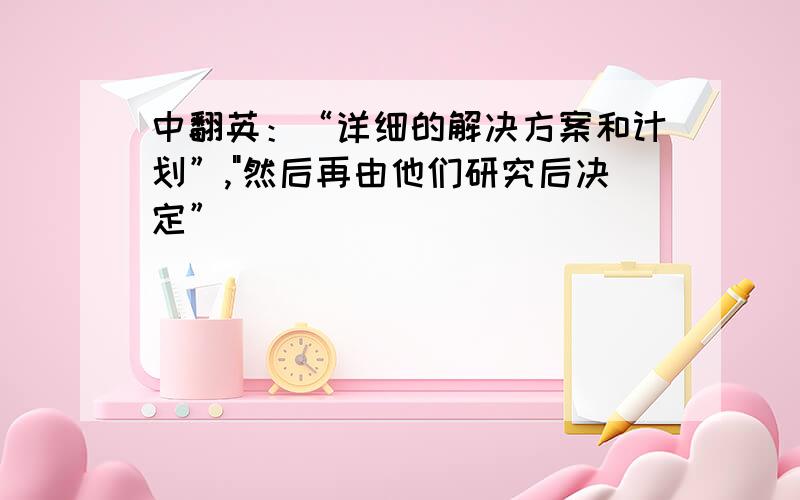 中翻英：“详细的解决方案和计划”,