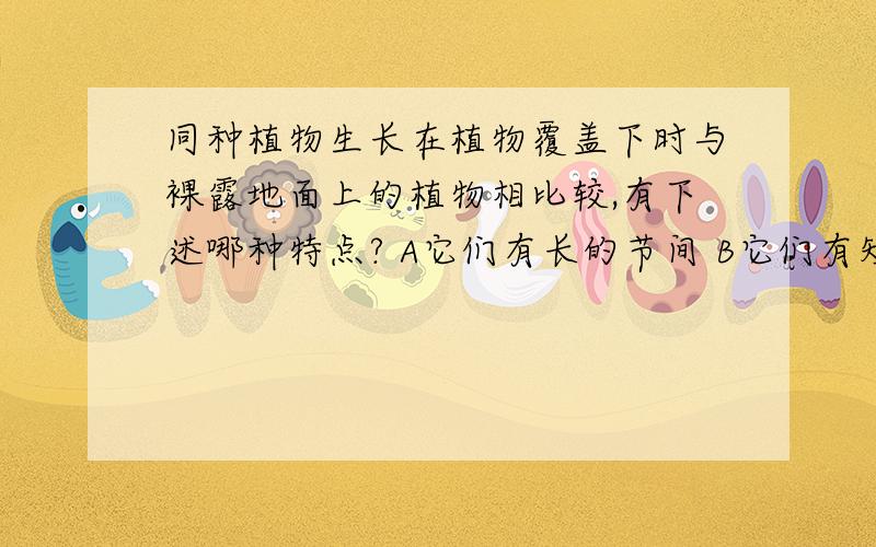 同种植物生长在植物覆盖下时与裸露地面上的植物相比较,有下述哪种特点? A它们有长的节间 B它们有短的节