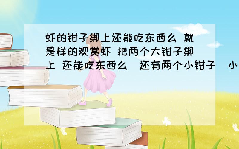 虾的钳子绑上还能吃东西么 就是样的观赏虾 把两个大钳子绑上 还能吃东西么（还有两个小钳子）小钳子没绑