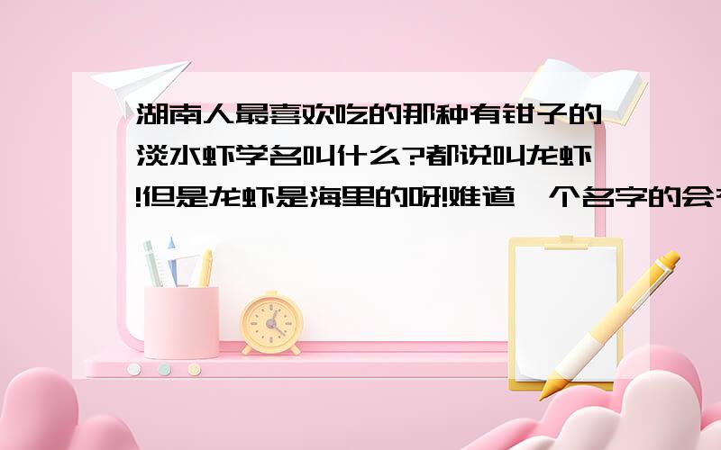 湖南人最喜欢吃的那种有钳子的淡水虾学名叫什么?都说叫龙虾!但是龙虾是海里的呀!难道一个名字的会有两种虾子啊?