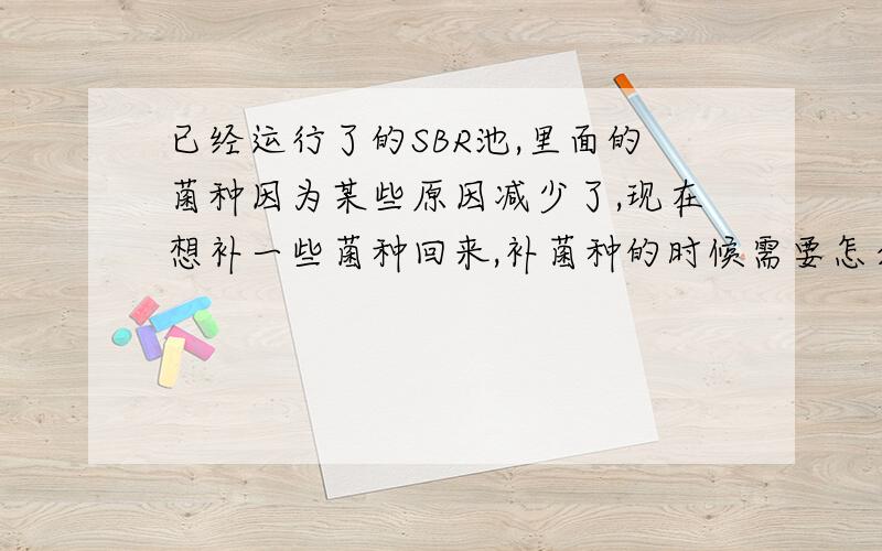 已经运行了的SBR池,里面的菌种因为某些原因减少了,现在想补一些菌种回来,补菌种的时候需要怎么培养那些菌种