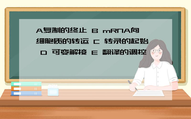 A复制的终止 B mRNA向细胞质的转运 C 转录的起始 D 可变解接 E 翻译的调控