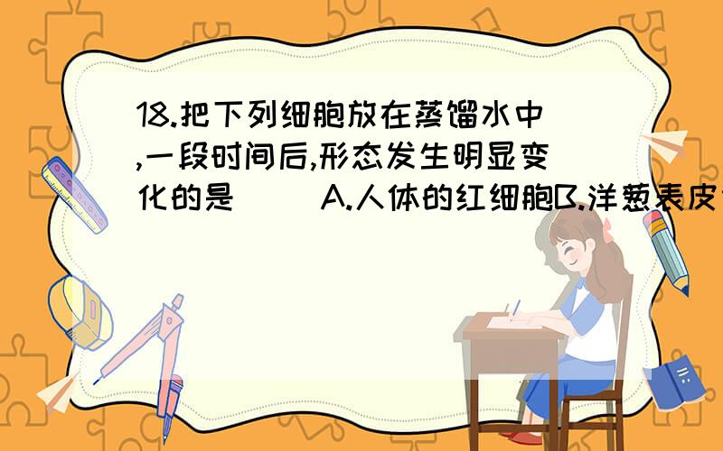 18.把下列细胞放在蒸馏水中,一段时间后,形态发生明显变化的是( )A.人体的红细胞B.洋葱表皮细胞C.变形虫细胞D.小球藻为什么``?