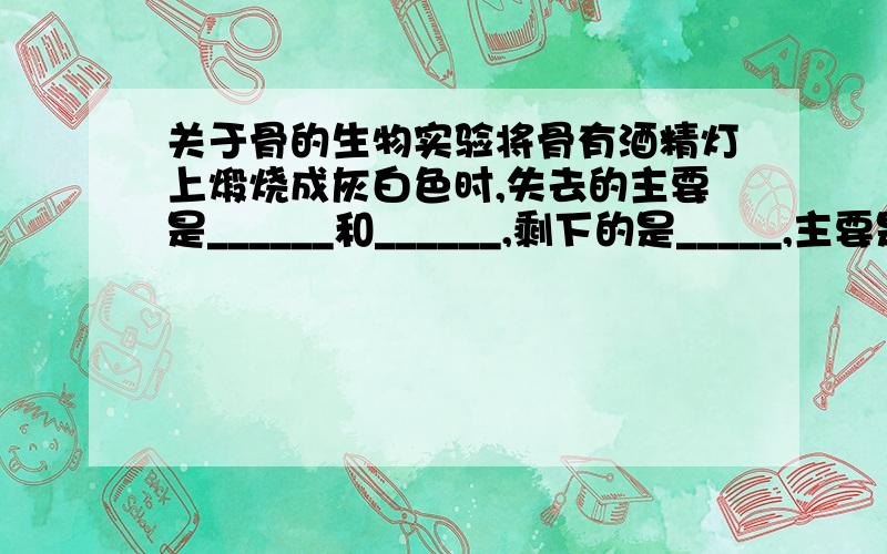 关于骨的生物实验将骨有酒精灯上煅烧成灰白色时,失去的主要是______和______,剩下的是_____,主要是___盐.这剩下的部分使骨_____,与骨的______有关.若将这灰白色的部分放入盐酸中,观察到的现象