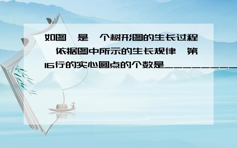 如图,是一个树形图的生长过程,依据图中所示的生长规律,第16行的实心圆点的个数是_________个.