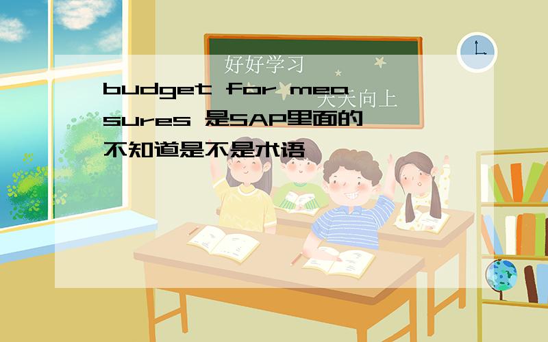 budget for measures 是SAP里面的,不知道是不是术语