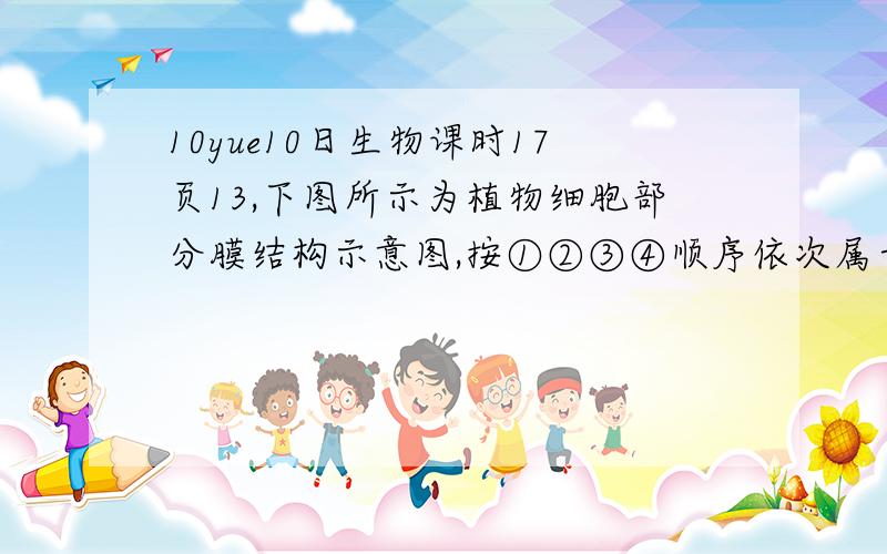 10yue10日生物课时17页13,下图所示为植物细胞部分膜结构示意图,按①②③④顺序依次属于A 细胞膜,高尔基体膜,线粒体膜,核膜B 线粒体膜,叶绿体膜,内质网膜,高尔基体膜C 细胞膜,叶绿体膜,线粒