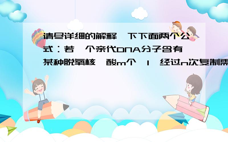 请尽详细的解释一下下面两个公式：若一个亲代DNA分子含有某种脱氧核苷酸m个,1,经过n次复制需要消耗该脱氧核苷酸数为m（2^n — 1）.2,复制第n次所需该脱氧核苷酸数为m2^n-1 .