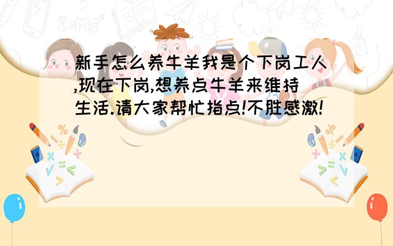 新手怎么养牛羊我是个下岗工人,现在下岗,想养点牛羊来维持生活.请大家帮忙指点!不胜感激!