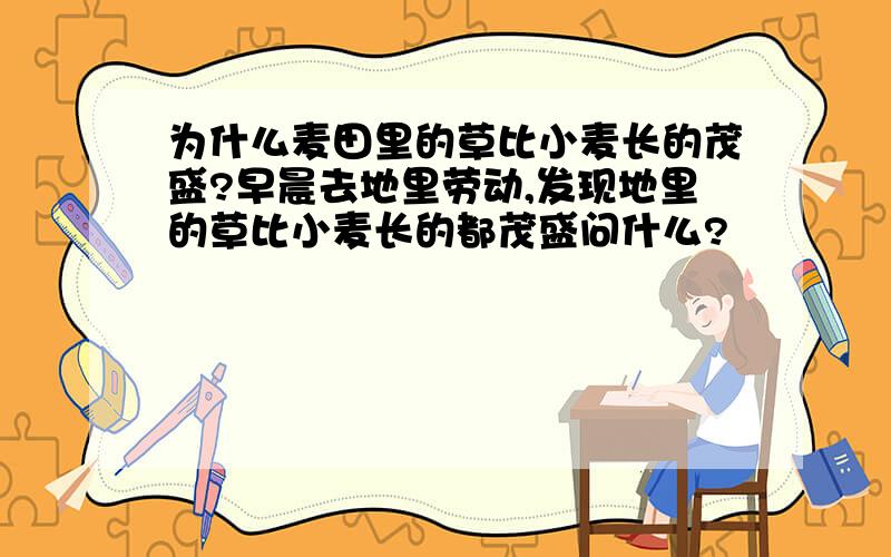 为什么麦田里的草比小麦长的茂盛?早晨去地里劳动,发现地里的草比小麦长的都茂盛问什么?