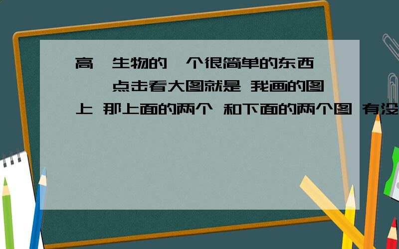 高一生物的一个很简单的东西、、、点击看大图就是 我画的图上 那上面的两个 和下面的两个图 有没有区别啊?拜托大家了!