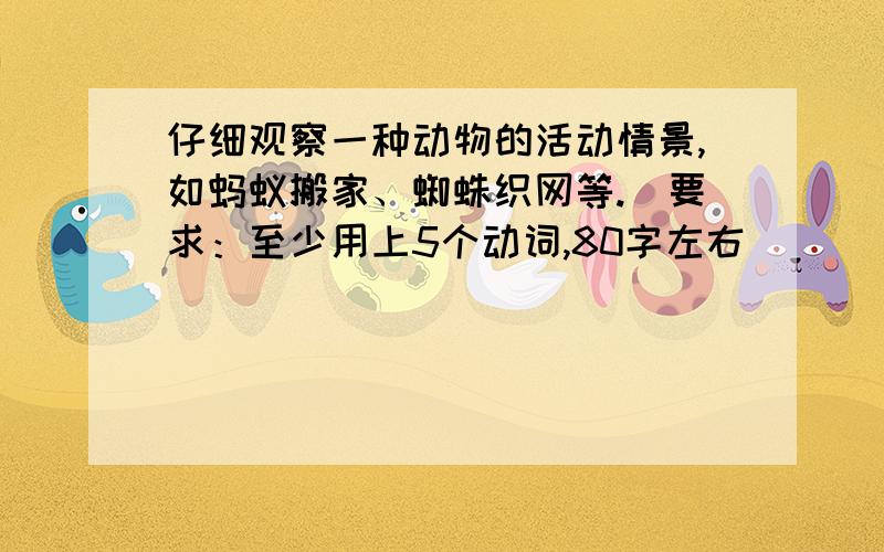 仔细观察一种动物的活动情景,如蚂蚁搬家、蜘蛛织网等.（要求：至少用上5个动词,80字左右）