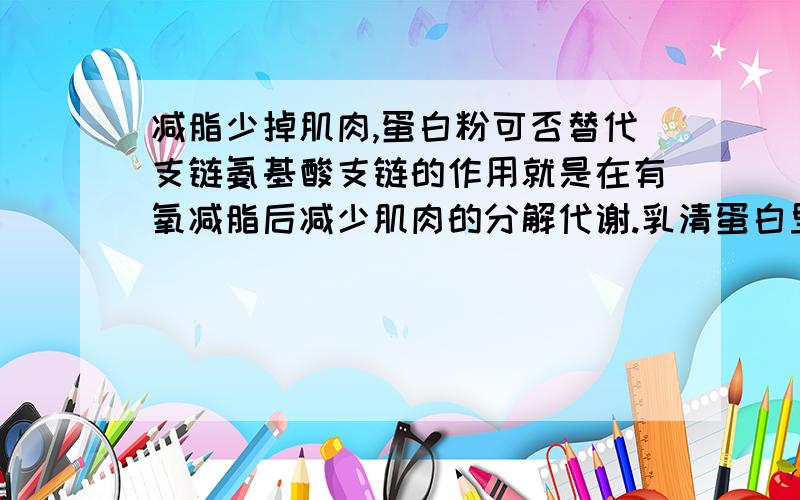 减脂少掉肌肉,蛋白粉可否替代支链氨基酸支链的作用就是在有氧减脂后减少肌肉的分解代谢.乳清蛋白里含有不少的支链氨基酸,那么是不是蛋白粉可以代替支链的这个作用?而且可能比支链更