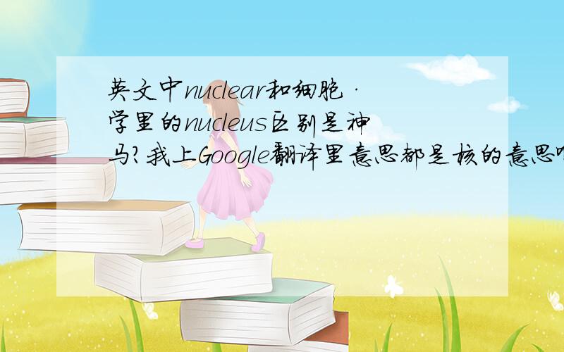 英文中nuclear和细胞·学里的nucleus区别是神马?我上Google翻译里意思都是核的意思啊.