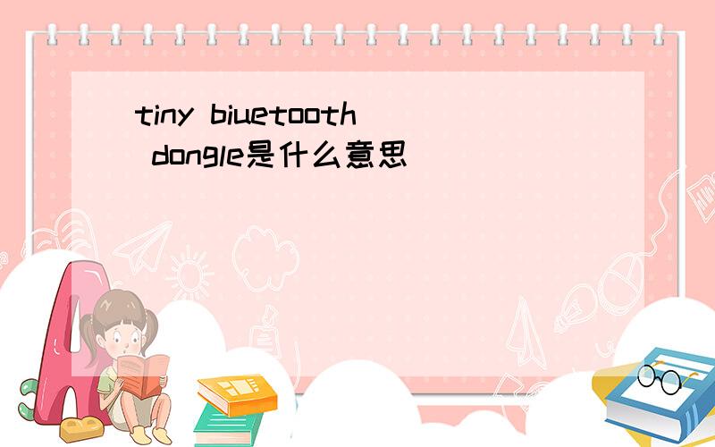 tiny biuetooth dongle是什么意思