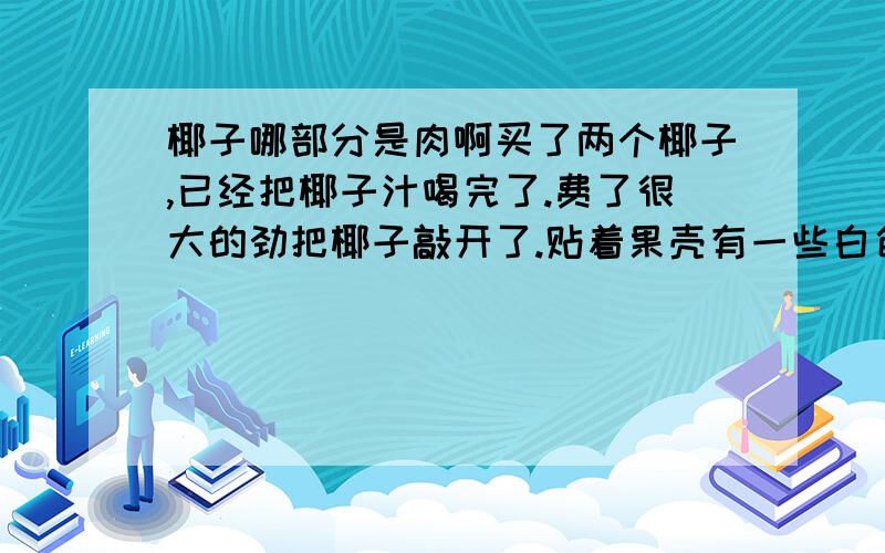 椰子哪部分是肉啊买了两个椰子,已经把椰子汁喝完了.费了很大的劲把椰子敲开了.贴着果壳有一些白色的约一公分厚的东东,有点硬,感觉是纤维质地的,这个可以吃不.然后中间还有一块不规则