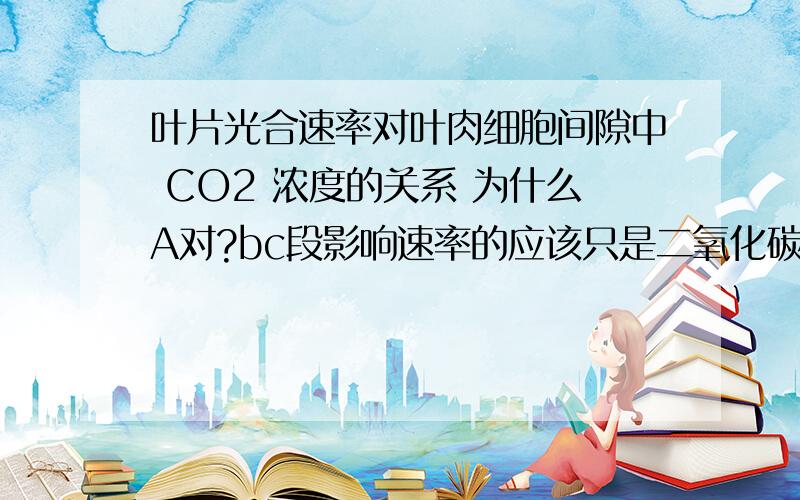 叶片光合速率对叶肉细胞间隙中 CO2 浓度的关系 为什么A对?bc段影响速率的应该只是二氧化碳浓度啊,酶应该够用啊,s点之后才是由酶活性决定的吧