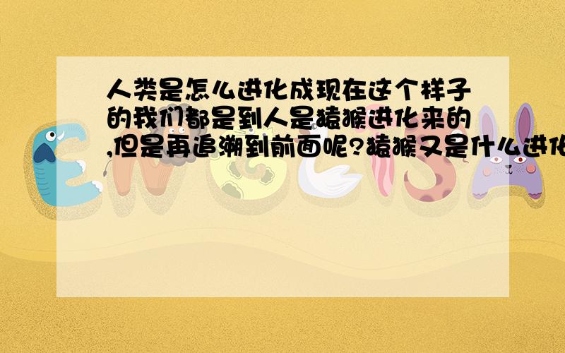 人类是怎么进化成现在这个样子的我们都是到人是猿猴进化来的,但是再追溯到前面呢?猿猴又是什么进化的,进化成猿猴的那个东西又是由什么进化成的.人类是如何从一个点或者一个细菌微生