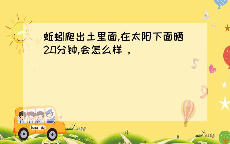 蚯蚓爬出土里面,在太阳下面晒20分钟,会怎么样 ,