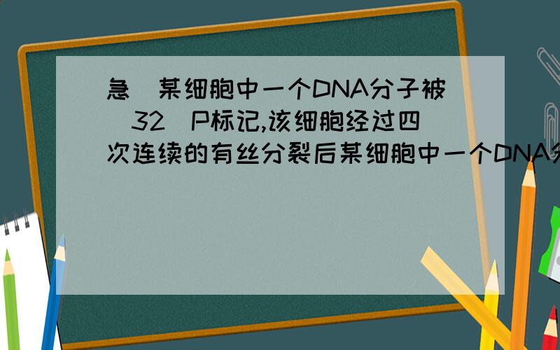 急)某细胞中一个DNA分子被(32)P标记,该细胞经过四次连续的有丝分裂后某细胞中一个DNA分子被(32)P标记,该细胞经过四次连续的有丝分裂后,含(32)P的细胞占细胞总数的 ()A.1/16B.1/8C.1/2D.3/4解析.越