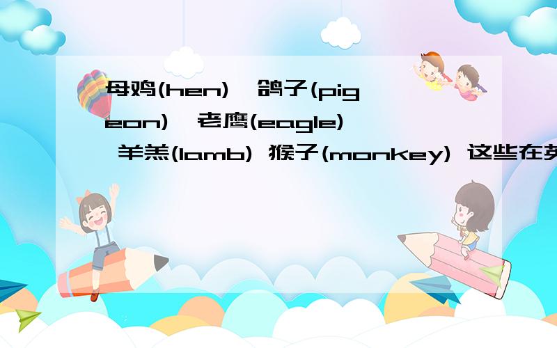 母鸡(hen),鸽子(pigeon),老鹰(eagle) 羊羔(lamb) 猴子(monkey) 这些在英国象征什么在英国象征什么