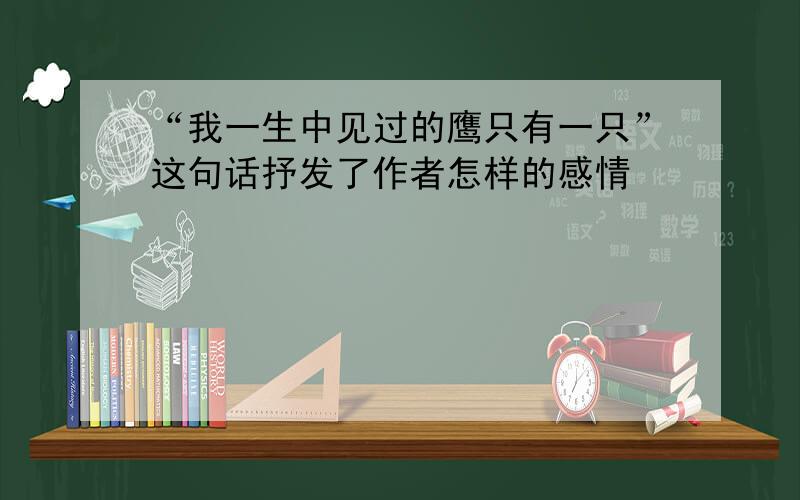 “我一生中见过的鹰只有一只”这句话抒发了作者怎样的感情