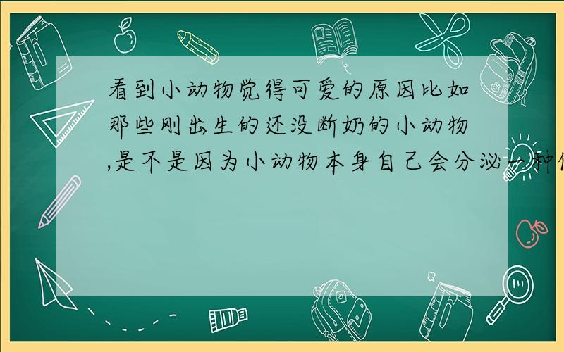 看到小动物觉得可爱的原因比如那些刚出生的还没断奶的小动物,是不是因为小动物本身自己会分泌一种信号,让看到它的事物觉得他可爱,不想杀他.经常有处于哺乳期的母性动物收养不同种群