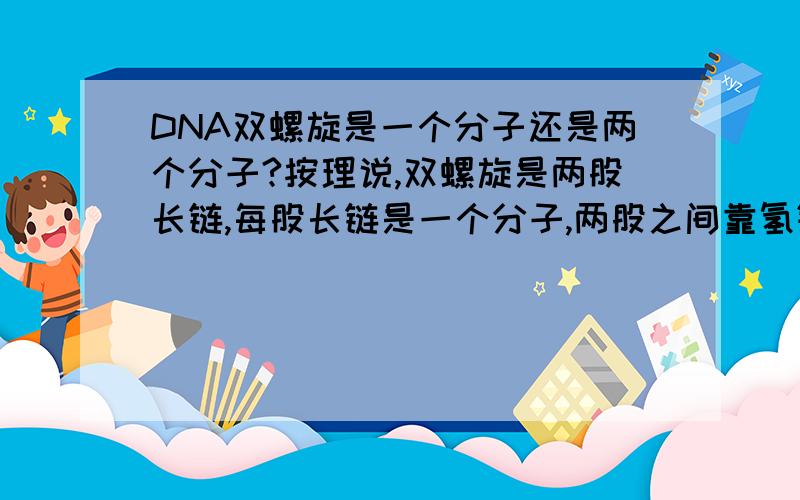 DNA双螺旋是一个分子还是两个分子?按理说,双螺旋是两股长链,每股长链是一个分子,两股之间靠氢键作用.