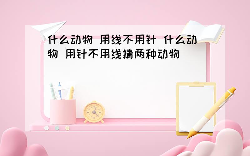 什么动物 用线不用针 什么动物 用针不用线猜两种动物